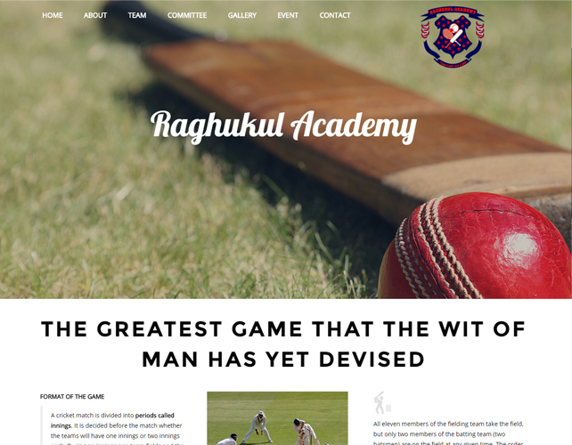 Cricket Academy Website Design